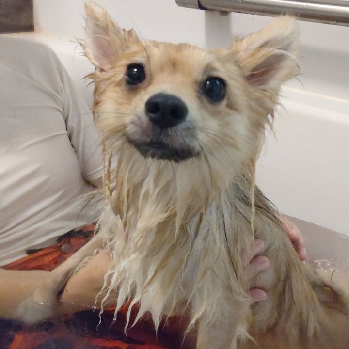 20fc0a51 4ba8 4b93 8152 8def0888ea66 1753138290273