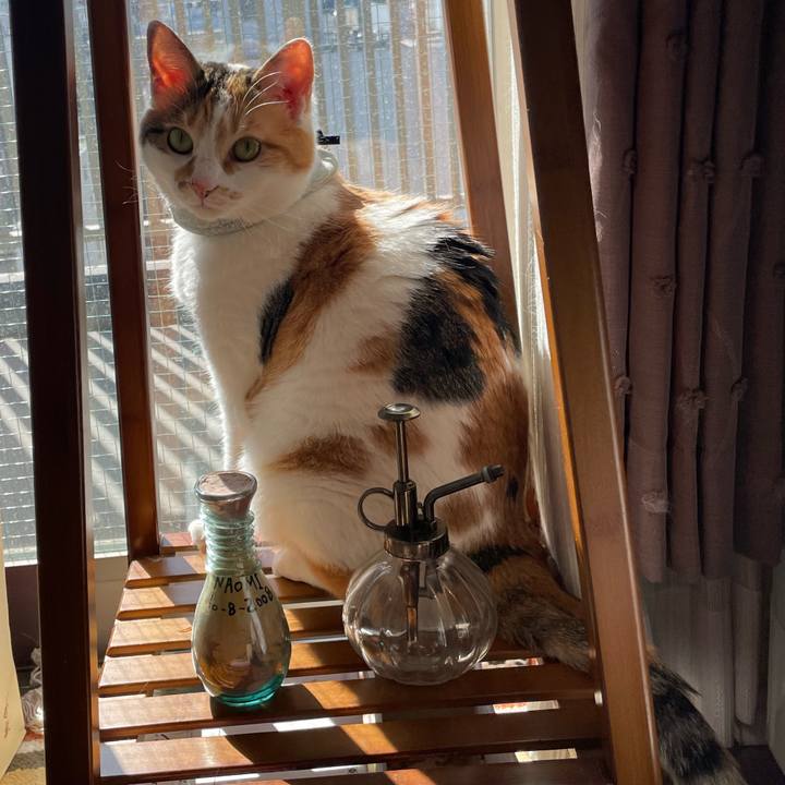 20fc24d5 f040 42bf 815d a88ccddca035 1679203179099