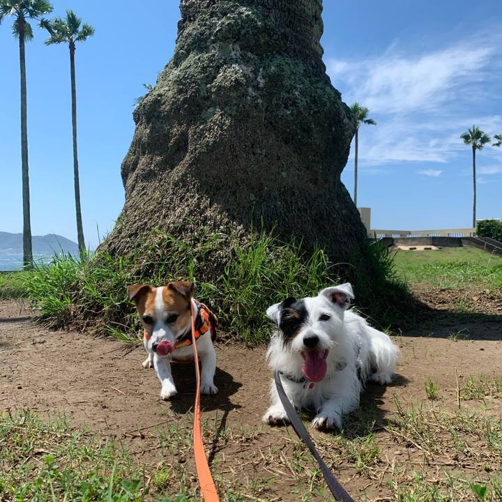 20fc8820 2e15 4f5e 9c16 ad784e6fc02b 1625879594268