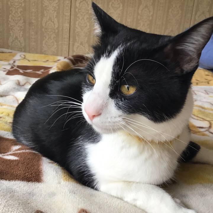 20fc88c6 0437 4641 9499 58c5bae6270a 1648531137340