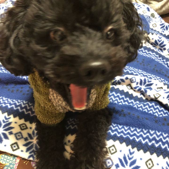 20fcc06b 3569 4a33 93dc 79cabf556fa7 1548745530013