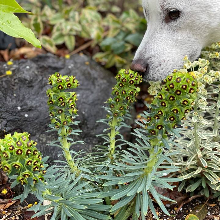 20fccd94 c632 42b2 809c 0d24c9ee7b54 1615596514171