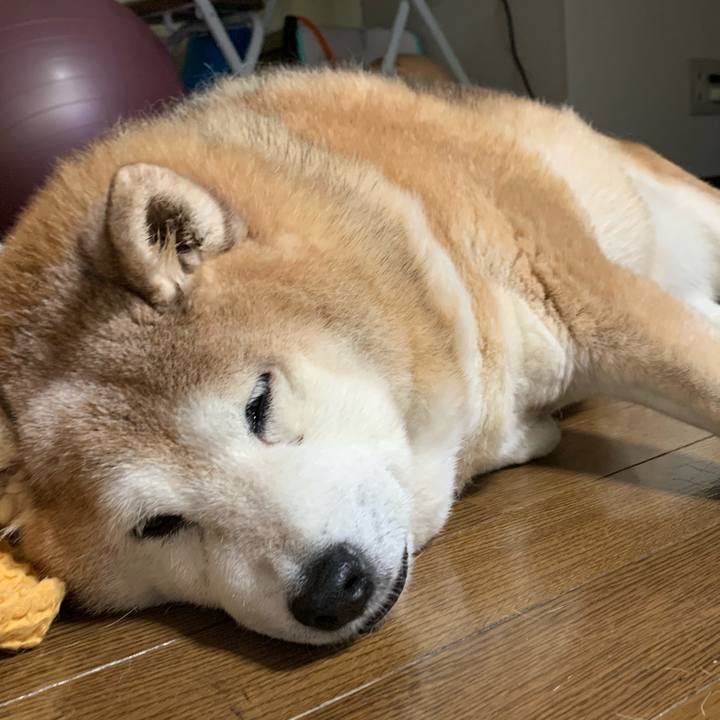 20fcd24d 2d67 409e 87d9 2795a9aae003 1616236005406