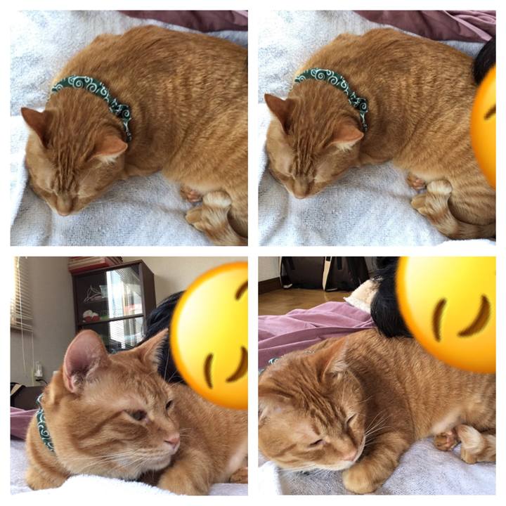 20fce479 5fc9 43be 98eb 7204d674e560 1547867606232