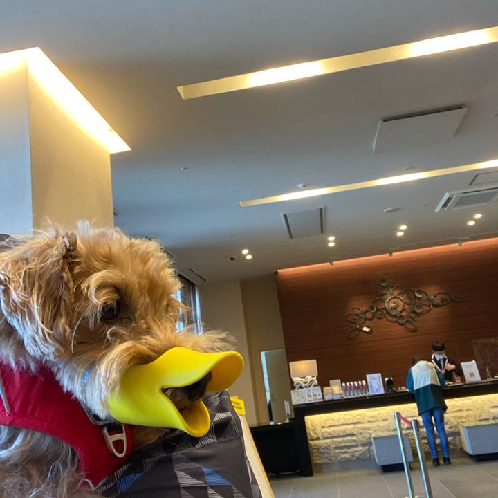 20fce98d a428 4af0 a8dc ad4073ba1002 1684583985220