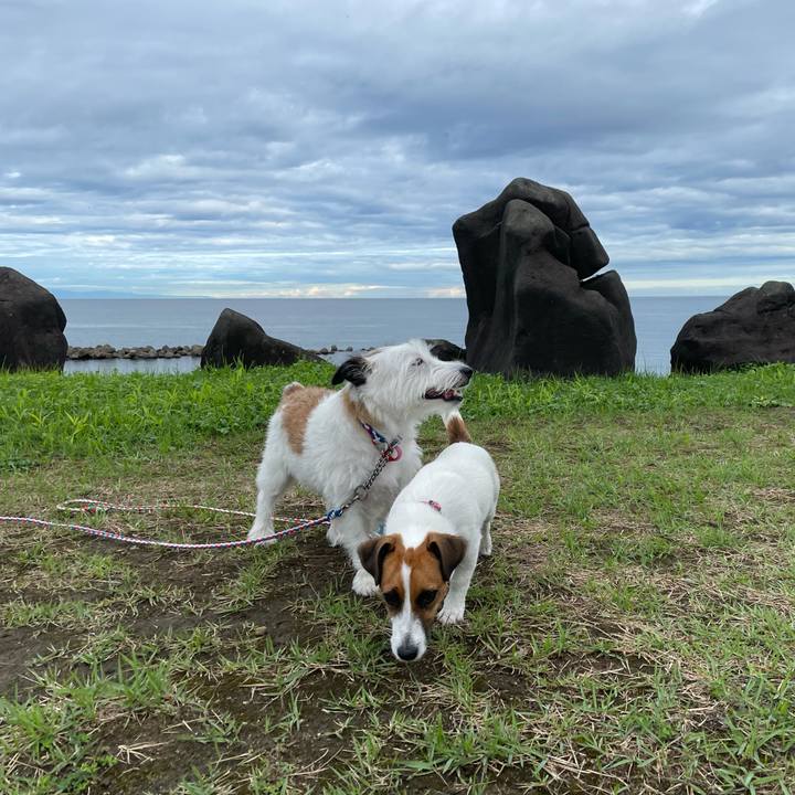 20fcf8be c8cd 40a9 b0e2 aa876d87f850 1630798354528