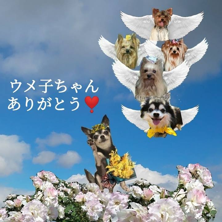 20fd046f ec59 45a4 a494 2efffdfc51b2 1674879677914