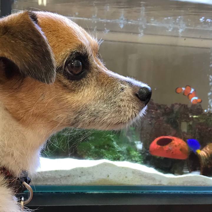 20fd0f12 a620 4f89 b322 7aa1e91656ec 1538875423693