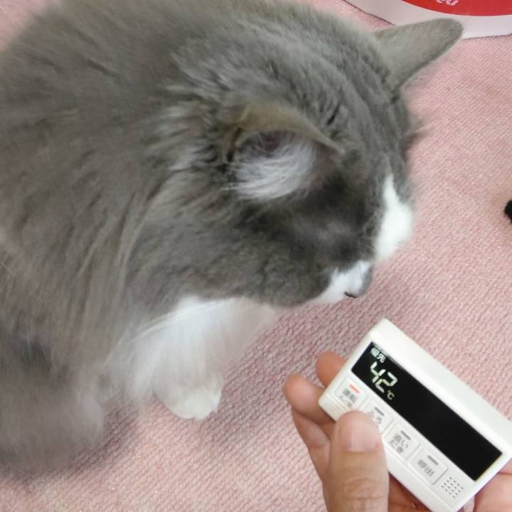 20fd23a9 8669 4fc3 981a 7e4b8f56e94f 1620187789588