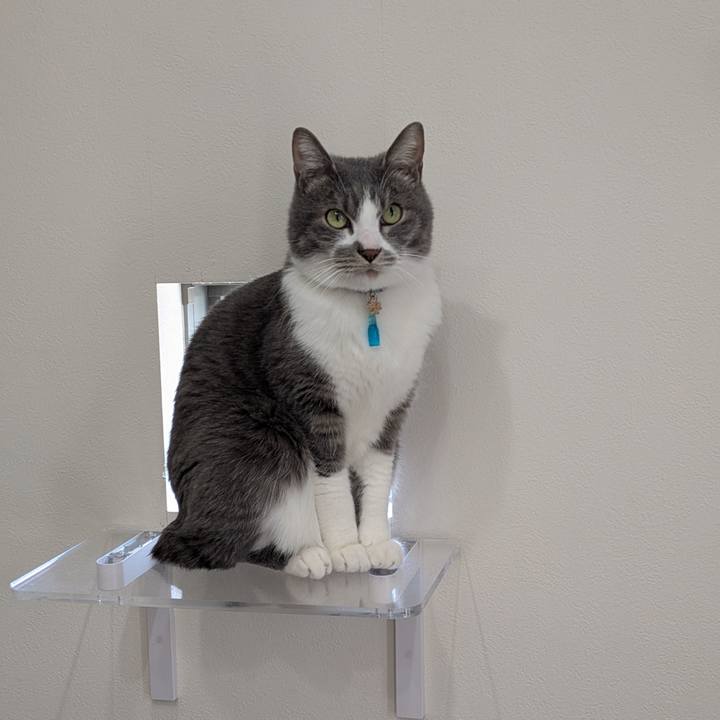 20fd2bed 73c6 47ac acd9 1211b062944d 1741491216185