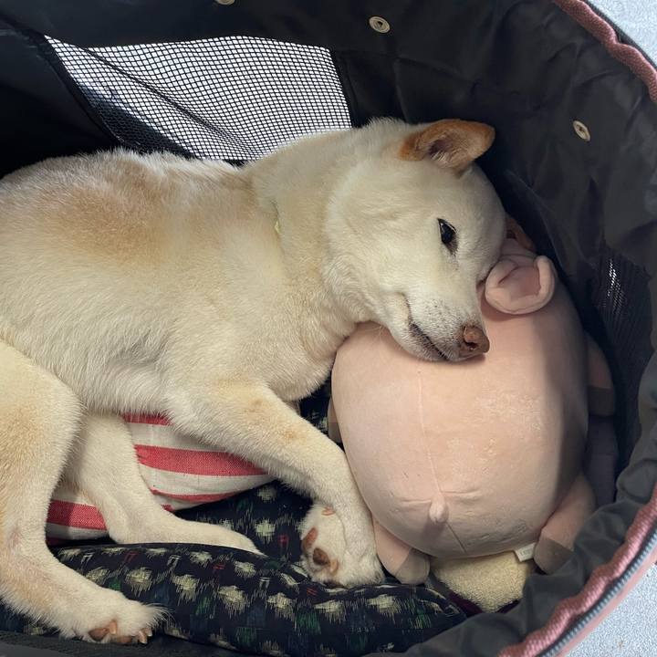 20fd4380 e634 477b 8ea8 2697e7362e8f 1652008135014