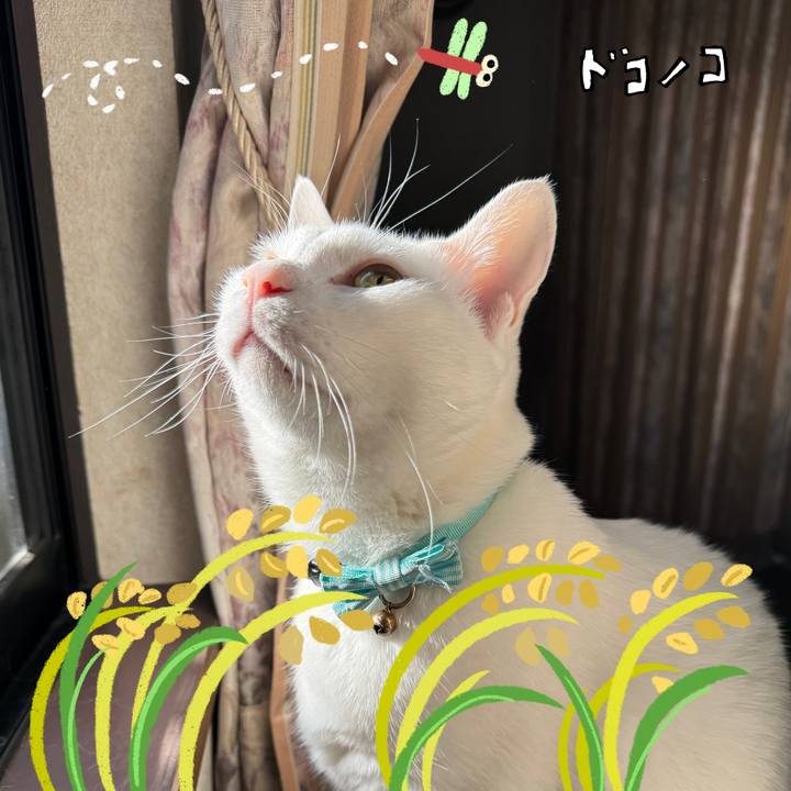 20fd69a0 7a37 41aa 9901 1cf2db14edae 1761775761627