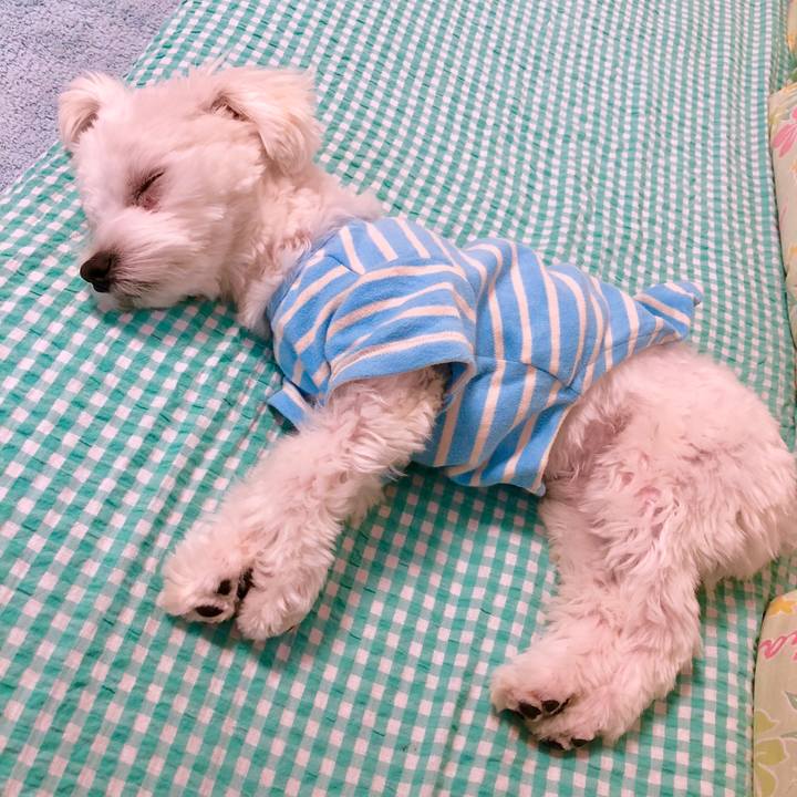 20fd6c85 0990 48fd b445 78e3937cba83 1523857779822