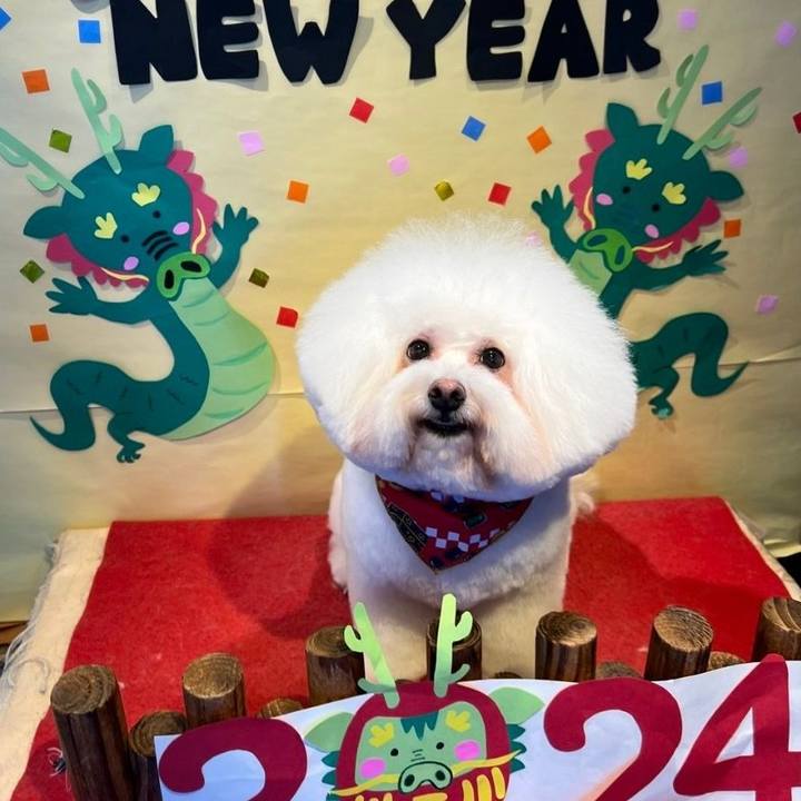 20fd8c68 df45 4f65 bacd 60d49b05ea10 1704078720144