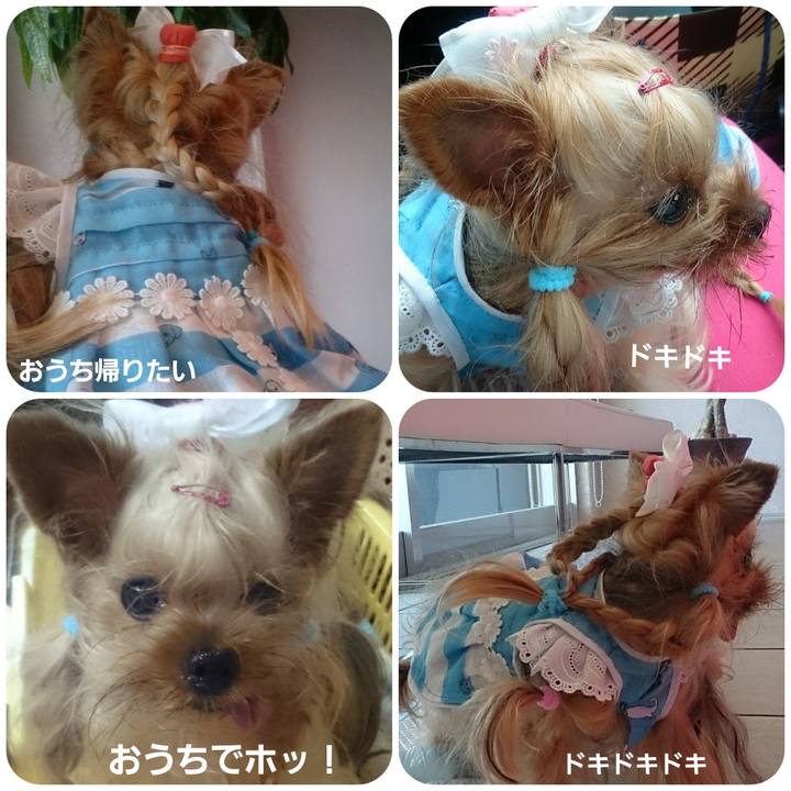 20fdaf03 f2fe 418b a808 3738bc992f99 1716170992300