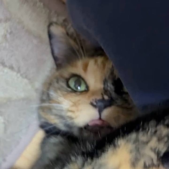 20fdc071 0fa9 411f b63c de4a5036229e 1754512746774