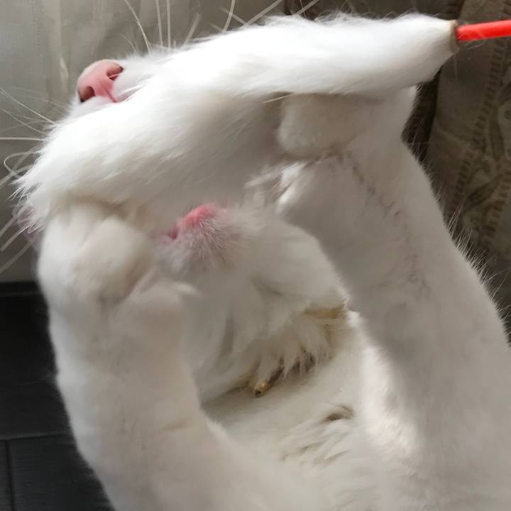 20fdcc28 3880 4507 94f7 b7b020c83679 1522503879613