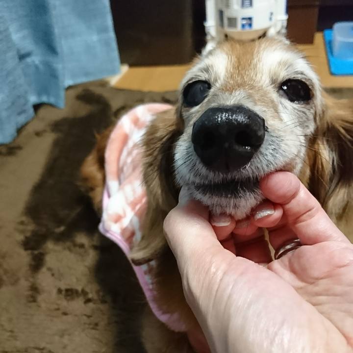 20fdd015 751d 4401 ab1a 2011c1ee1a20 1516056209263