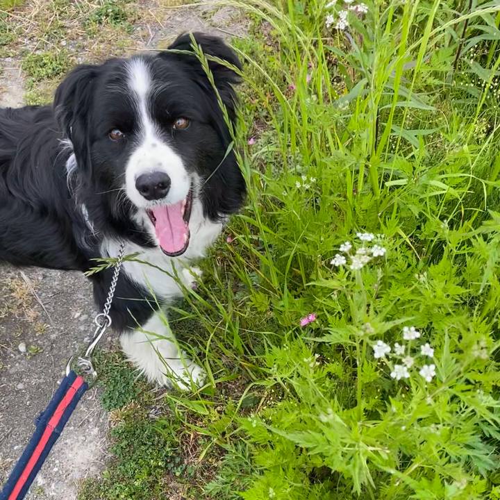 20fe2c39 c2c7 49cc 9fe6 4ca53cab0410 1589498855509