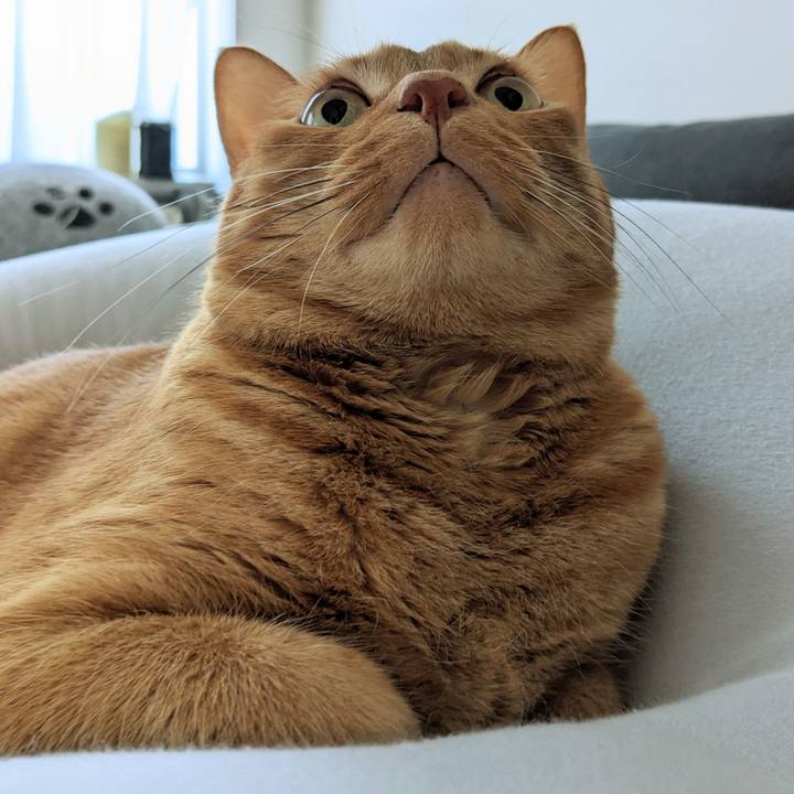 20fe45d9 c3f9 478c b866 089bf0f1e4a4 1674618427335