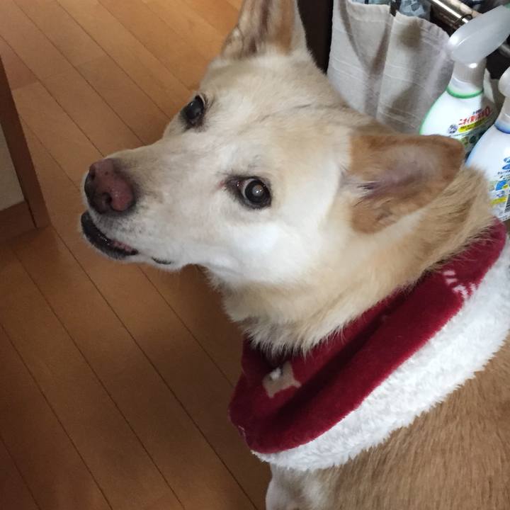 20fe568c 47ed 492d 8925 b02e96b49419 1516919615623