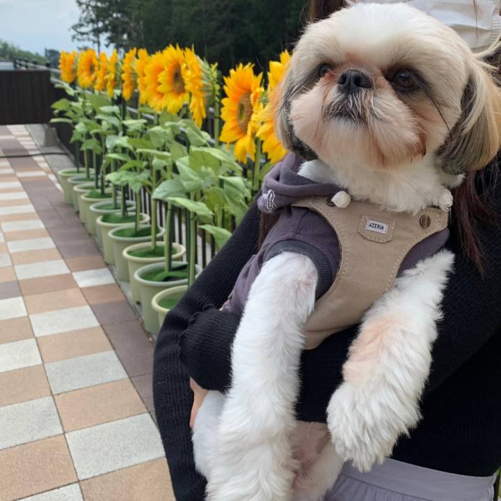 20fe8ddd c7aa 46b7 aab0 83080ad57c60 1619343519460