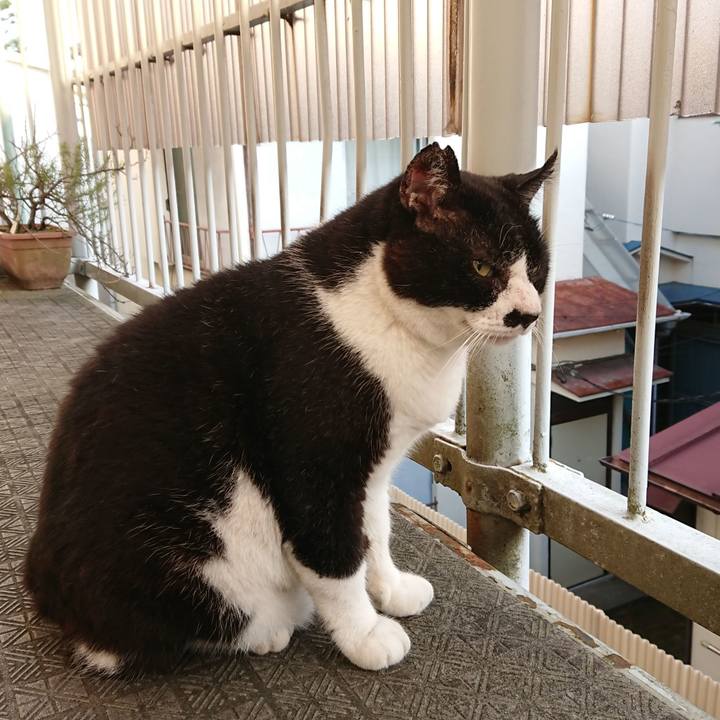 20fe9044 a4f8 4e57 abd2 b506df4ebdb2 1659214544061