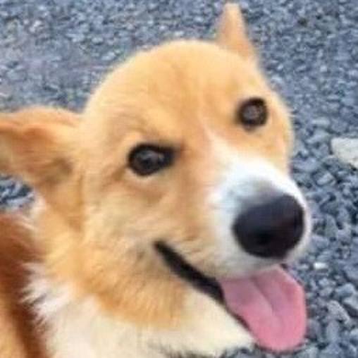 20fe9dab 80b0 4b53 8558 bf021a022708 1537431244513