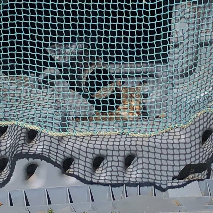 20fea495 8108 4b9d 9084 e953a1208a17 1645974173310