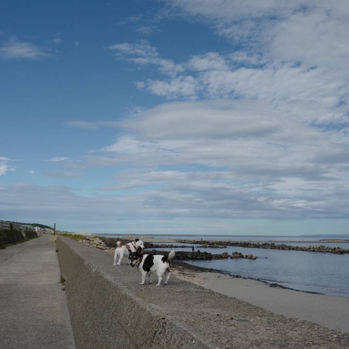 20fea653 c058 48b8 893d e1e75df3a46a 1562472802211