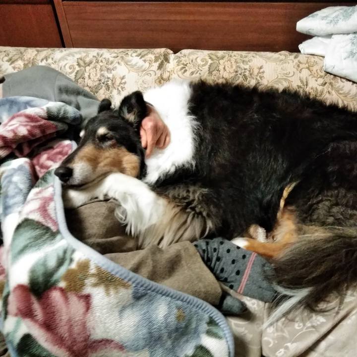 20feb09a b4ab 4d9f a114 598e8e36255f 1552018828822