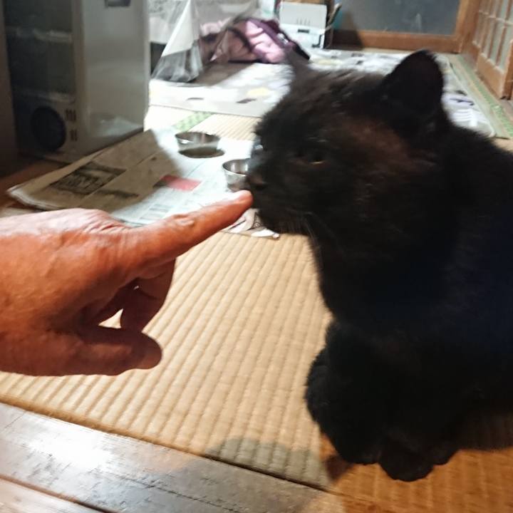 20fec67d eb84 468c 8ee3 8618602ff2c6 1619006750794