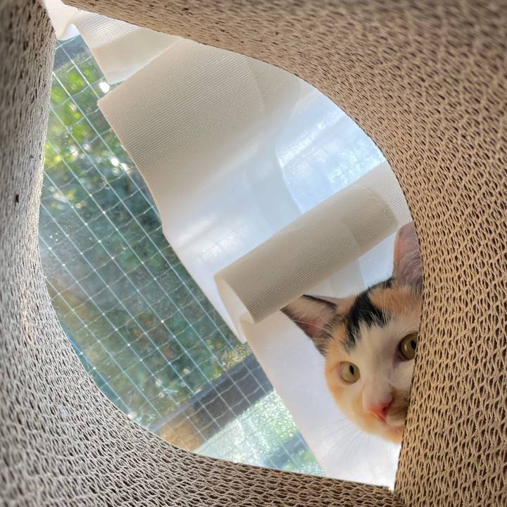 20fee01d cf52 414b 80a9 b0f7a8d06586 1666915005081