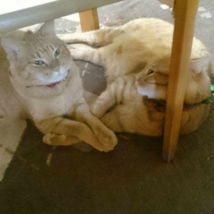 20ff0962 7bf2 4018 b60f 27118c1c4ec4 1513911118949