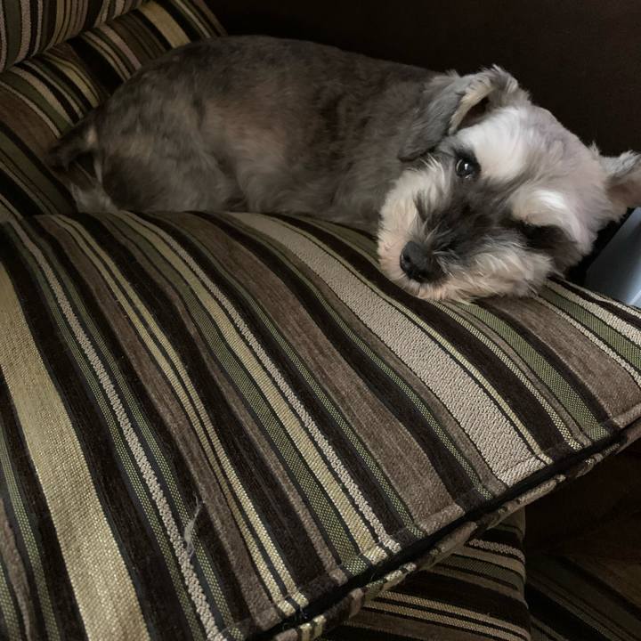 20ff291a 3399 4a08 b294 570af6b65cb3 1629089324126