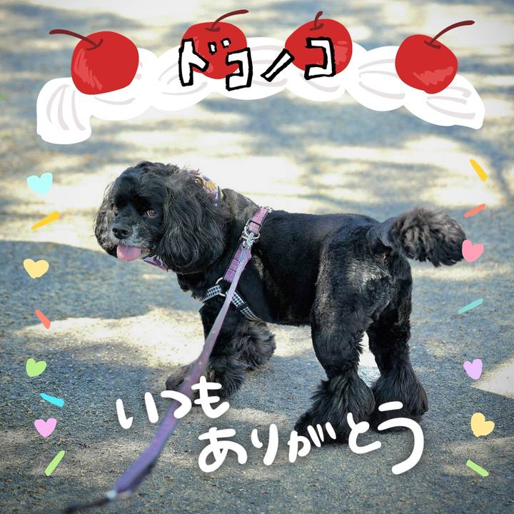 20ff5062 d60c 4aa7 9d1b 393ec2ca3483 1685939325237