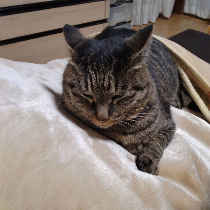 20ff6d2f de5c 43f1 98c9 13156208335f 1705959530975