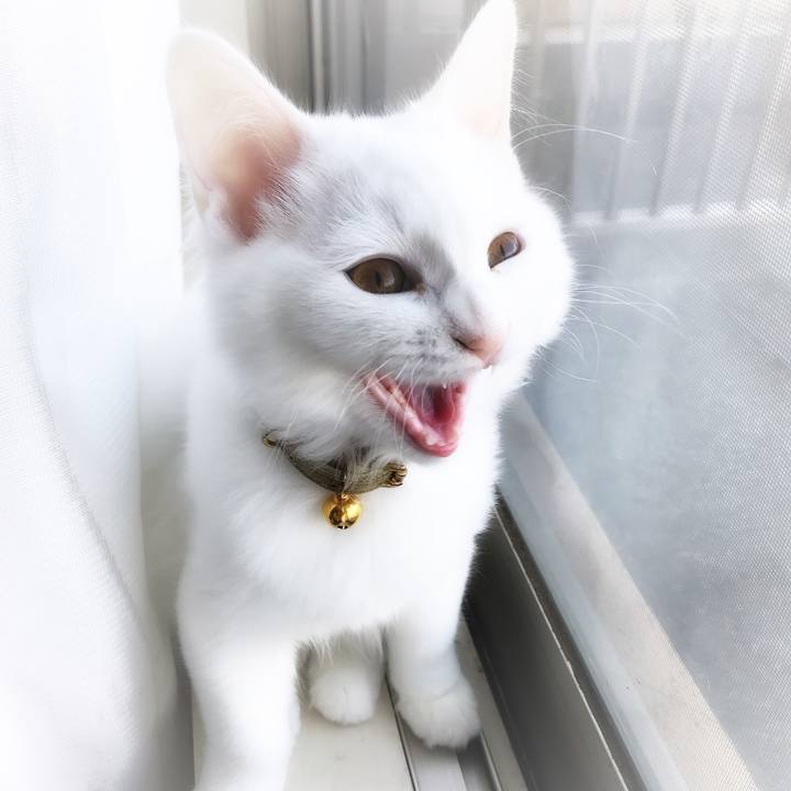 20ff73f3 fd66 4d39 90a2 744f50e5da59 1540017517098