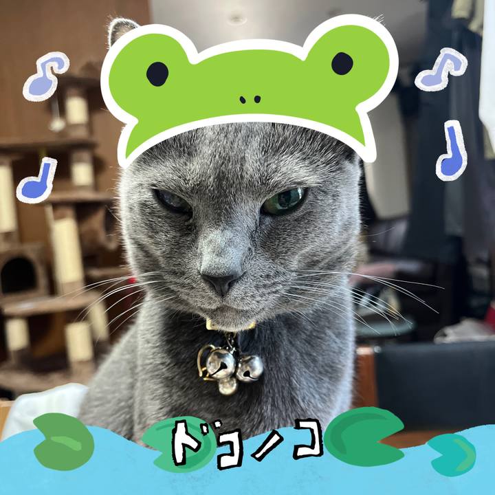 20ff8634 8935 4dad 80a1 b5169b66d18e 1717569599319