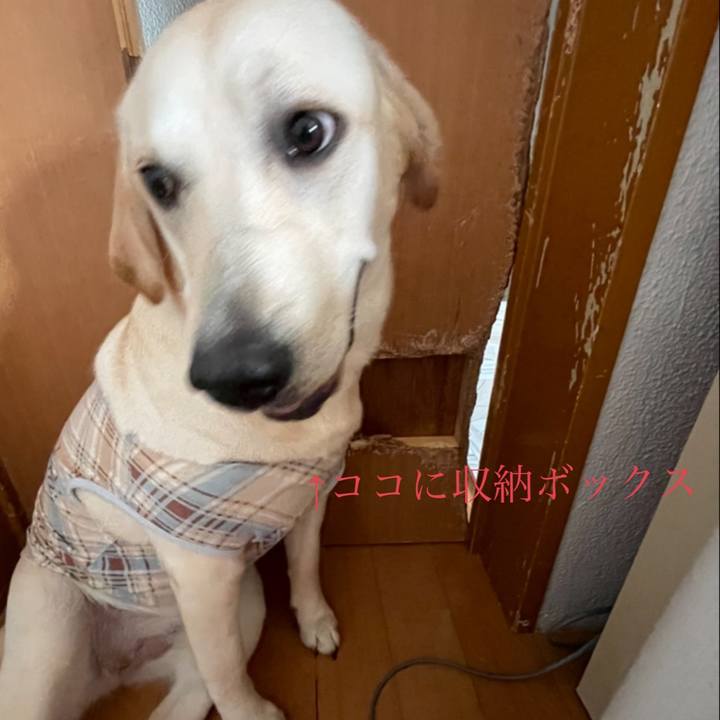 20ff96d7 0ddc 40e4 8259 d85ea0483765 1630476194184