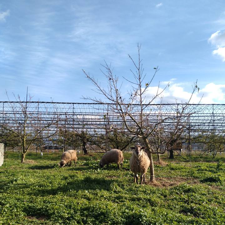 20ffaa8b 1577 4bb3 b782 071f7c14dd71 1668833953355