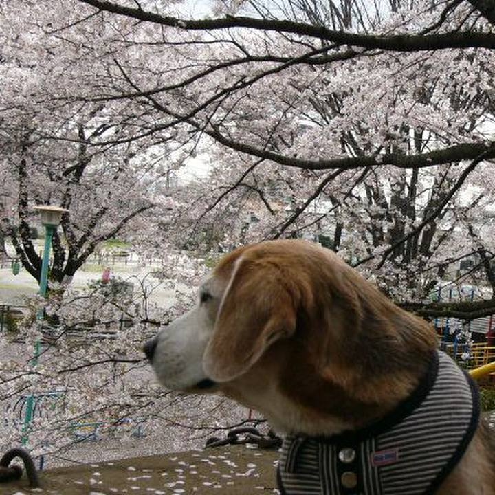 20ffab5a 7237 4e88 8f6f e25fabdb1d0e 1648429688591