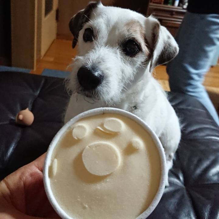 20ffce20 6e27 400c a488 0804d2165edd 1536595238523