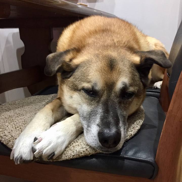 20ffe345 4b43 4412 a295 748e8b7585e0 1518086086074