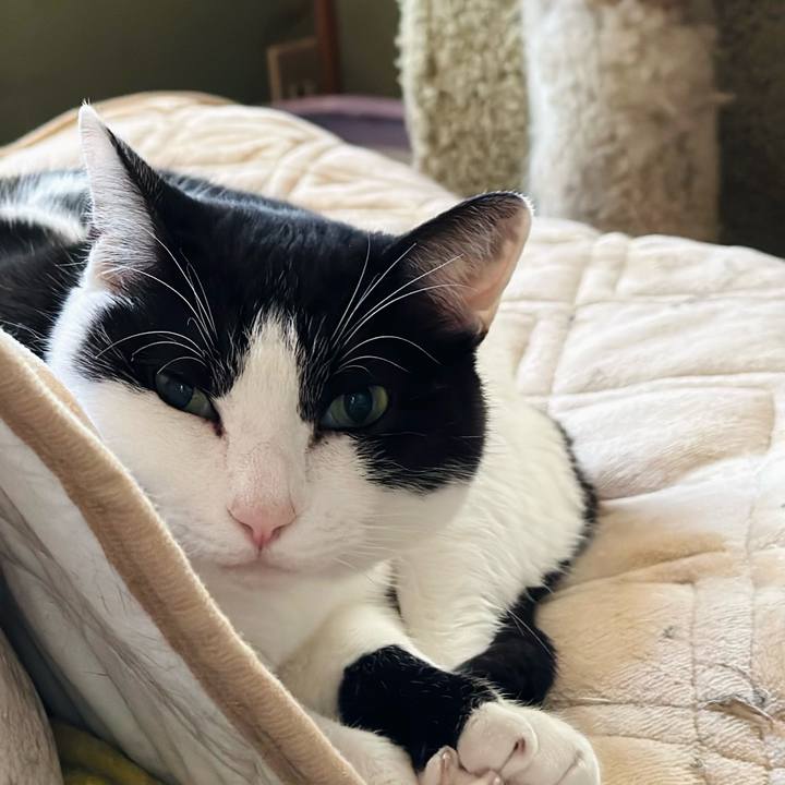 21001e9c 8e4d 4b5f 9cc3 da9352804a26 1675735588178