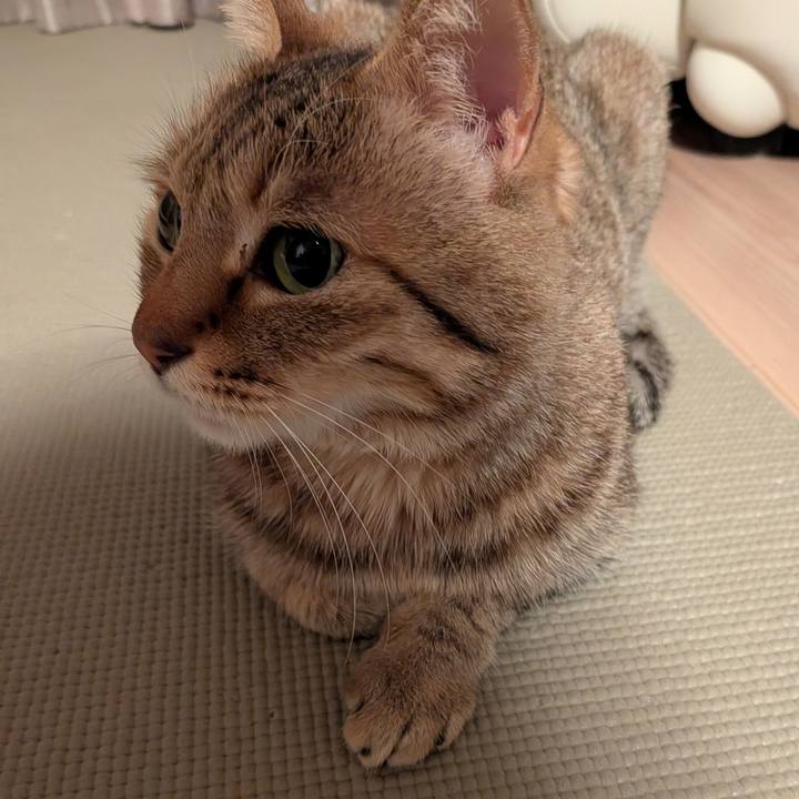 21003d3f 980e 4fa7 97b1 df0ba6973d30 1772289948449