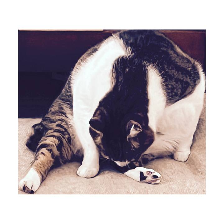 210077fb 9e80 4d4f 8f89 95b291ac1bac 1669099103480