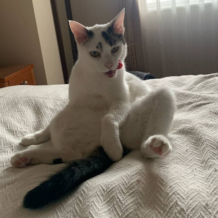 210086be 4f84 4207 8037 c6ef673c1330 1621146067027