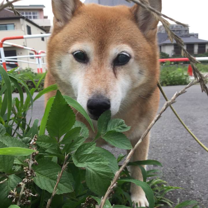 210088fb db03 4795 9665 0216264dfe8a 1625559940955