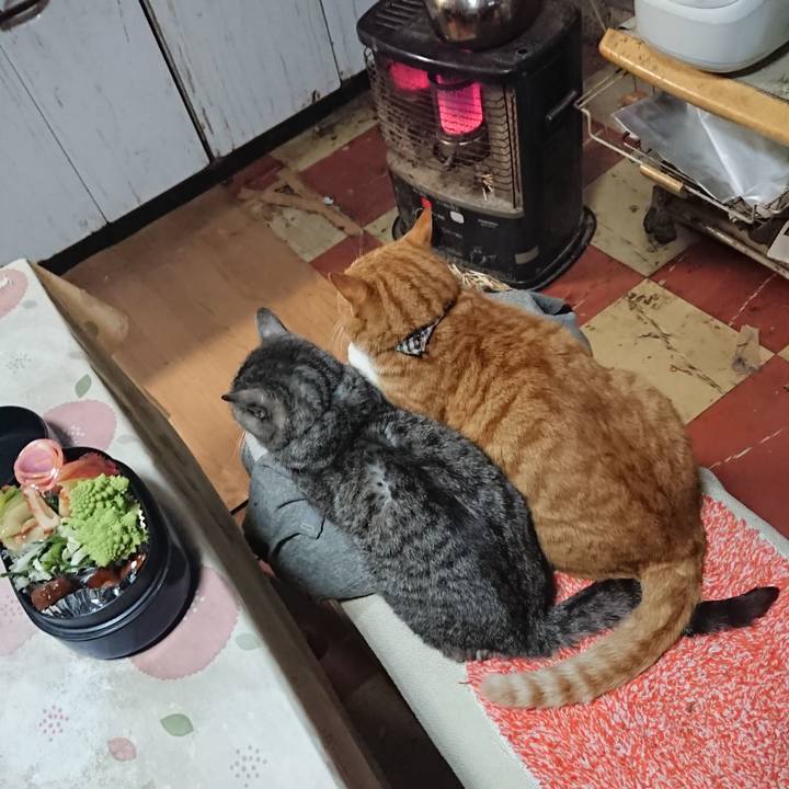 210092df 6388 4af9 82a2 2a0e26f9e29b 1576021438434